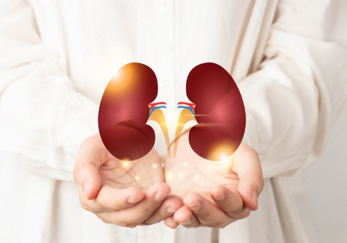 best kidney disorders hospitals in jayanagar bangalore